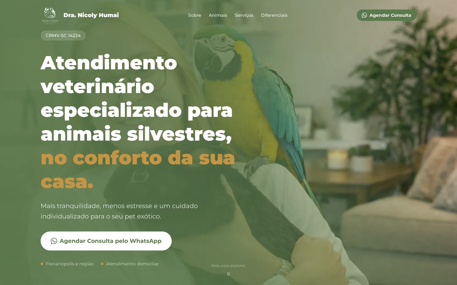 Primeira dobra da página da Dra. Nicoly Humai